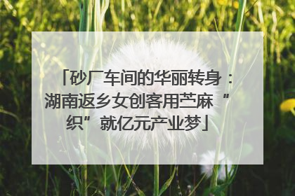 砂厂车间的华丽转身：湖南返乡女创客用苎麻“织”就亿元产业梦