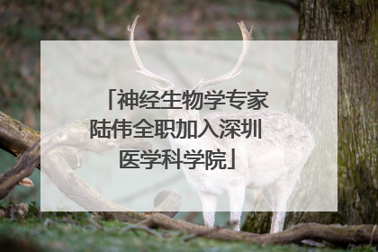 神经生物学专家陆伟全职加入深圳医学科学院