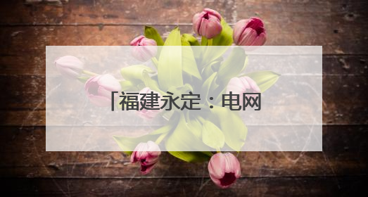 福建永定：电网“强筋健骨” 全力迎峰度夏