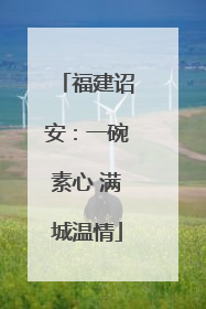 福建诏安：一碗素心 满城温情