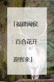 福建闽侯：百合花开迎客来