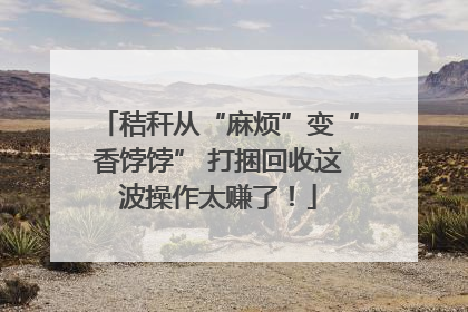 秸秆从“麻烦”变“香饽饽” 打捆回收这波操作太赚了！