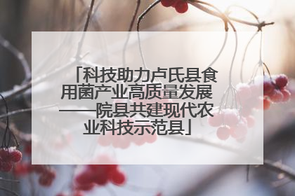 科技助力卢氏县食用菌产业高质量发展——院县共建现代农业科技示范县