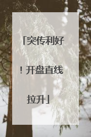 突传利好！开盘直线拉升