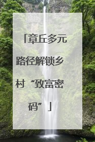 章丘多元路径解锁乡村“致富密码”