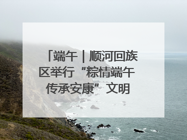 端午｜顺河回族区举行“粽情端午 传承安康”文明集市活动