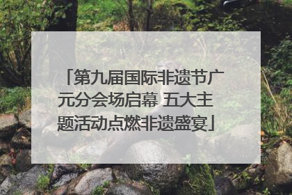 第九届国际非遗节广元分会场启幕 五大主题活动点燃非遗盛宴
