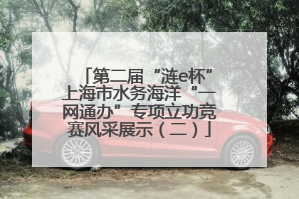 第二届“涟e杯”上海市水务海洋“一网通办”专项立功竞赛风采展示（二）