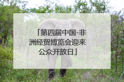 第四届中国-非洲经贸博览会迎来公众开放日