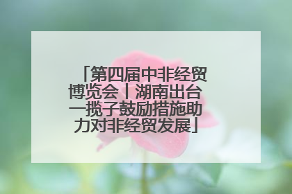 第四届中非经贸博览会丨湖南出台一揽子鼓励措施助力对非经贸发展