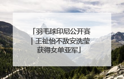 羽毛球印尼公开赛｜王祉怡不敌安洗莹 获得女单亚军