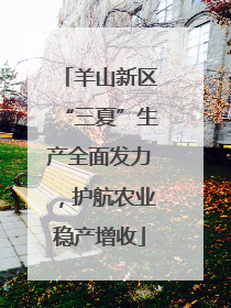 羊山新区“三夏”生产全面发力，护航农业稳产增收