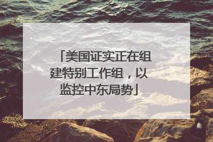 美国证实正在组建特别工作组，以监控中东局势