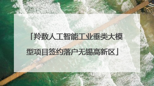 羚数人工智能工业垂类大模型项目签约落户无锡高新区