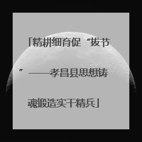 精耕细育促“拔节”——孝昌县思想铸魂锻造实干精兵