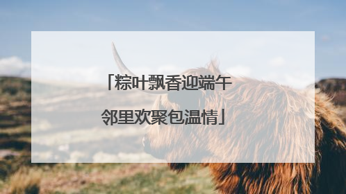 粽叶飘香迎端午 邻里欢聚包温情
