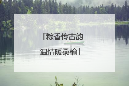 粽香传古韵 温情暖桑榆
