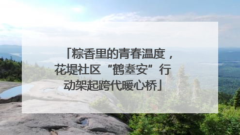 粽香里的青春温度，花堤社区“鹤耋安”行动架起跨代暖心桥