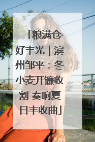 粮满仓·好丰光｜滨州邹平：冬小麦开镰收割 奏响夏日丰收曲
