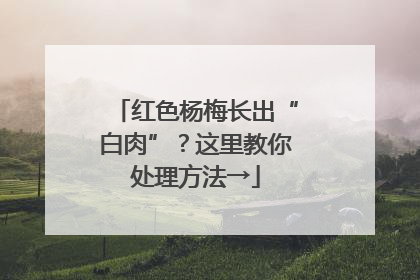 红色杨梅长出“白肉”？这里教你处理方法→