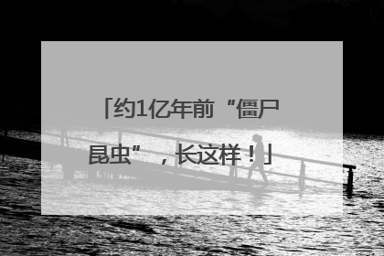约1亿年前“僵尸昆虫”，长这样！