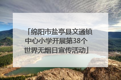 绵阳市盐亭县文通镇中心小学开展第38个世界无烟日宣传活动