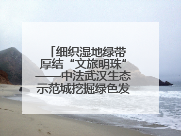 细织湿地绿带 厚结“文旅明珠”——中法武汉生态示范城挖掘绿色发展新动能