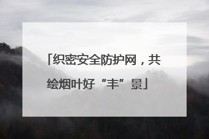 织密安全防护网，共绘烟叶好“丰”景