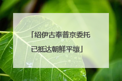 绍伊古奉普京委托已抵达朝鲜平壤