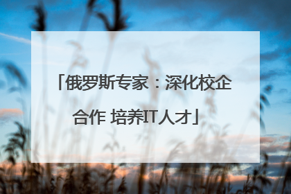 俄罗斯专家：深化校企合作 培养IT人才