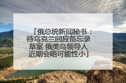 俄总统新闻秘书：待乌克兰回应备忘录草案 俄美乌领导人近期会晤可能性小