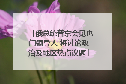 俄总统普京会见也门领导人 将讨论政治及地区热点议题