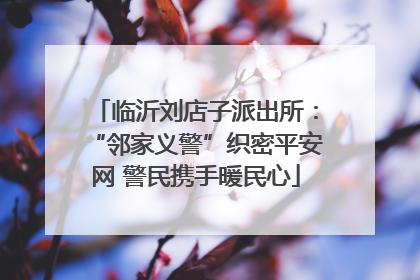 临沂刘店子派出所：“邻家义警”织密平安网 警民携手暖民心