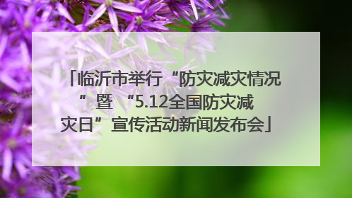 临沂市举行“防灾减灾情况”暨 “5.12全国防灾减灾日”宣传活动新闻发布会