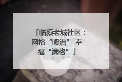 临颍老城社区：网格“暖治” 幸福“满格”