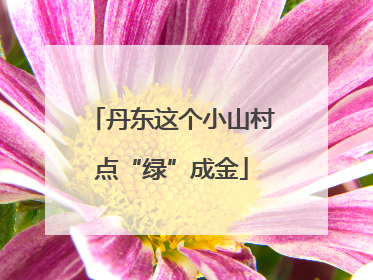 丹东这个小山村点“绿”成金