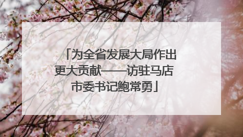 为全省发展大局作出更大贡献——访驻马店市委书记鲍常勇