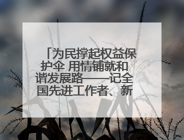 为民撑起权益保护伞 用情铺就和谐发展路——记全国先进工作者、新区项目建设中心干部卢小勇