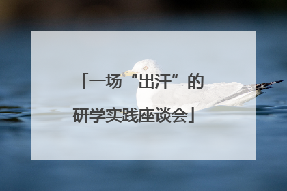 一场“出汗”的研学实践座谈会