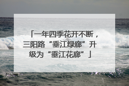 一年四季花开不断，三阳路“垂江绿廊”升级为“垂江花廊”