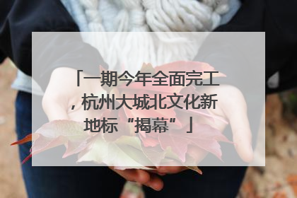 一期今年全面完工，杭州大城北文化新地标“揭幕”