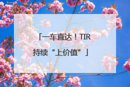 一车直达！TIR持续“上价值”