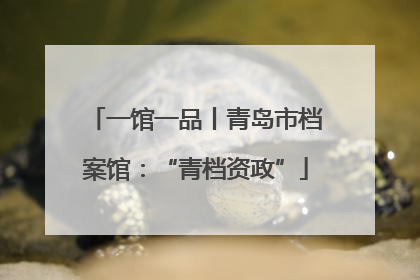 一馆一品丨青岛市档案馆：“青档资政”