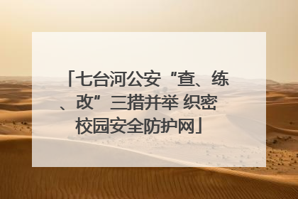七台河公安“查、练、改”三措并举 织密校园安全防护网
