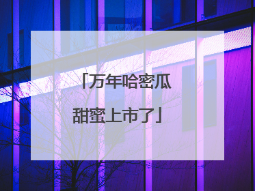 万年哈密瓜甜蜜上市了