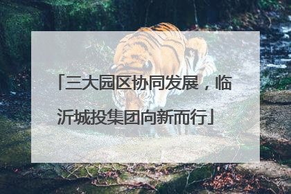 三大园区协同发展，临沂城投集团向新而行