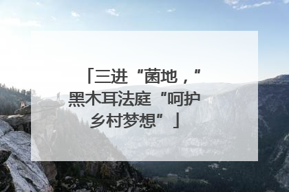 三进“菌地，”黑木耳法庭“呵护乡村梦想”
