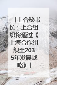 上合秘书长：上合组织将通过《上海合作组织至2035年发展战略》