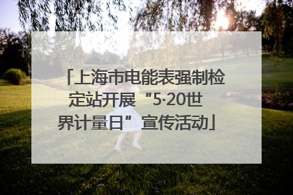 上海市电能表强制检定站开展“5·20世界计量日”宣传活动
