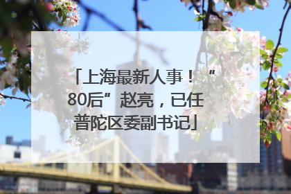 上海最新人事！“80后”赵亮，已任普陀区委副书记